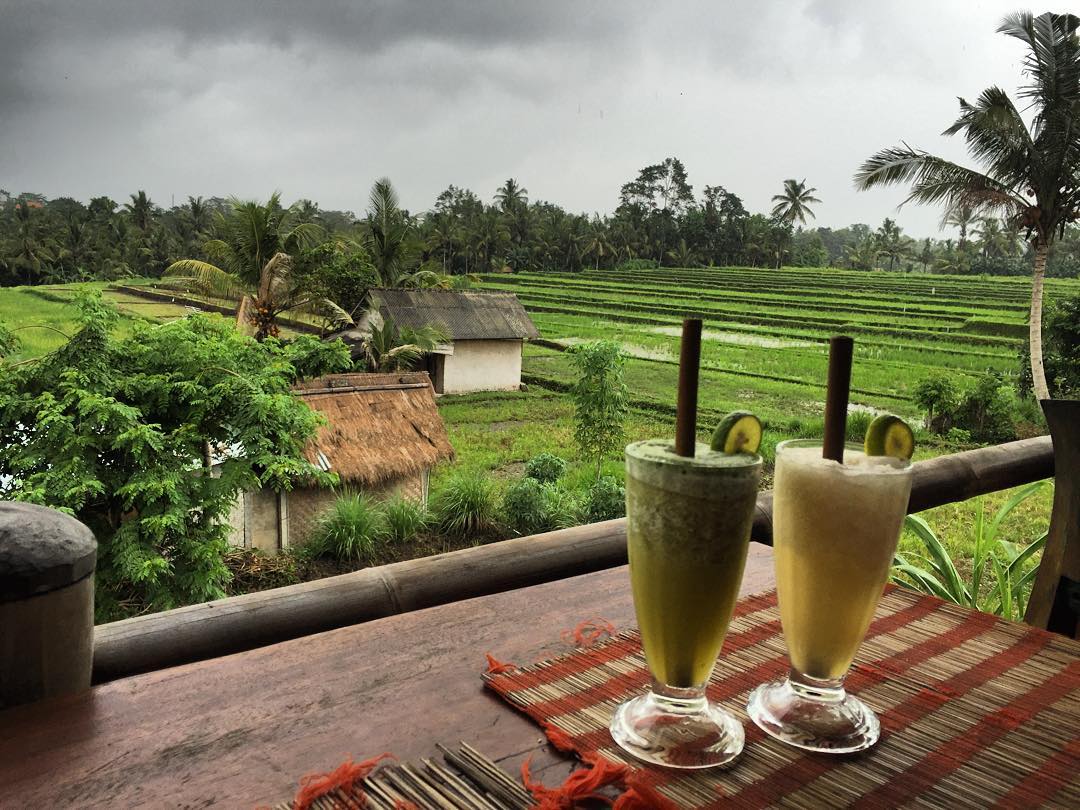 Rute Menuju Lokasi , Menu Makanan , Organic Cafe Lain, Cabang Lain, Review Tripadvisor, Penginapan Terdekat, Cerita Unik 