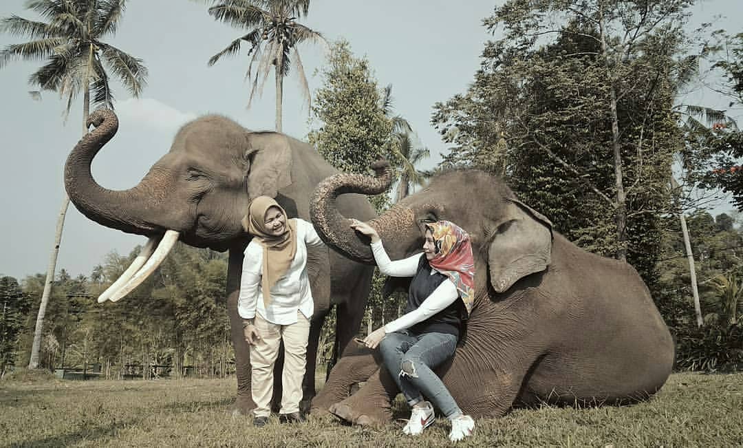 Taman Wisata, Wahana Wisata , Harga Tiket Masuk , Harga Penginapan Cottage , Lembah Hijau di Indonesia