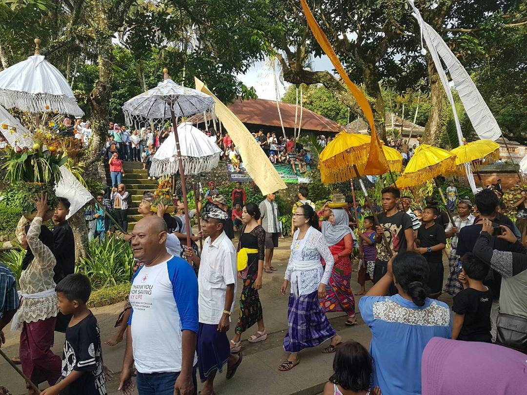 Bukan Pantai, Sejarah Singkat, Deskripsi Ritual , Memberi Makan Ikan , Harga Tiket Masuk