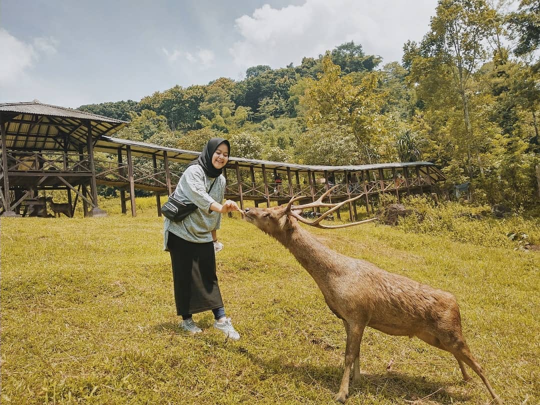 Sekilas Sejarah , Lokasi Dimana, Keunikan Keindahan , Harga Tiket Masuk, Fasilitas , Tips Berkunjung 