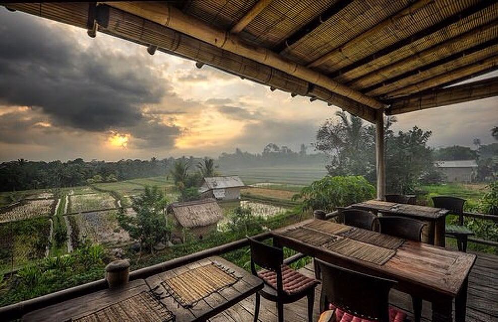 Rute Menuju Lokasi , Menu Makanan , Organic Cafe Lain, Cabang Lain, Review Tripadvisor, Penginapan Terdekat, Cerita Unik 