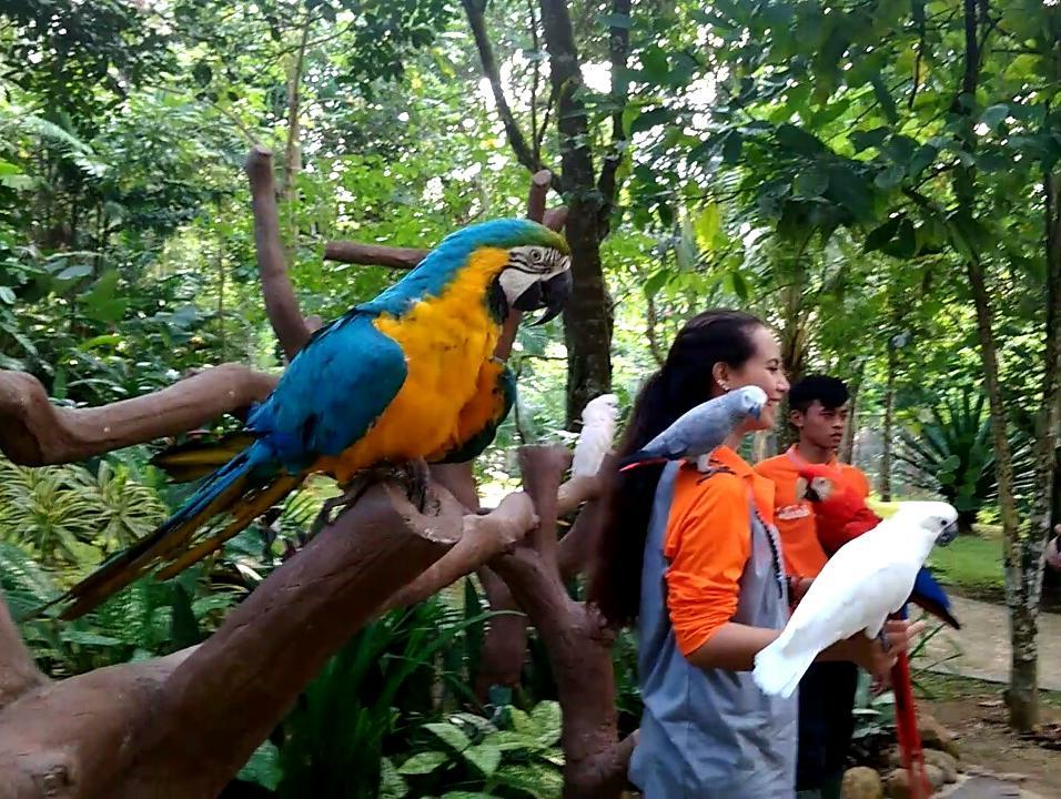 Taman Wisata, Wahana Wisata , Harga Tiket Masuk , Harga Penginapan Cottage , Lembah Hijau di Indonesia