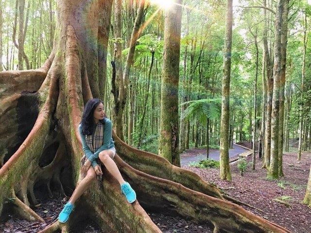 Lokasi Dimana , Sejarah Singkat , Rute Menuju Lokasi , Daya Tarik dan Fasilitas, Harga Tiket Masuk , Tips Berkunjung 