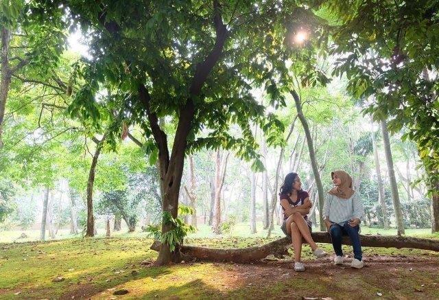 Wisata Alam, Menilik Taman Kota, Sisi Menarik, Fasilitas Yang Ada, Aktifitas Menarik