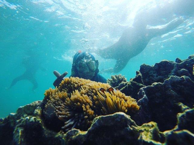 Mutiara Lampung , Letak Dimana, Dari Sansekerta, Beberapa Kepemilikan, Untuk Kelas Atas, Cara Ke Sebesi, Kegiatan Menarik, Banyak Penginapan