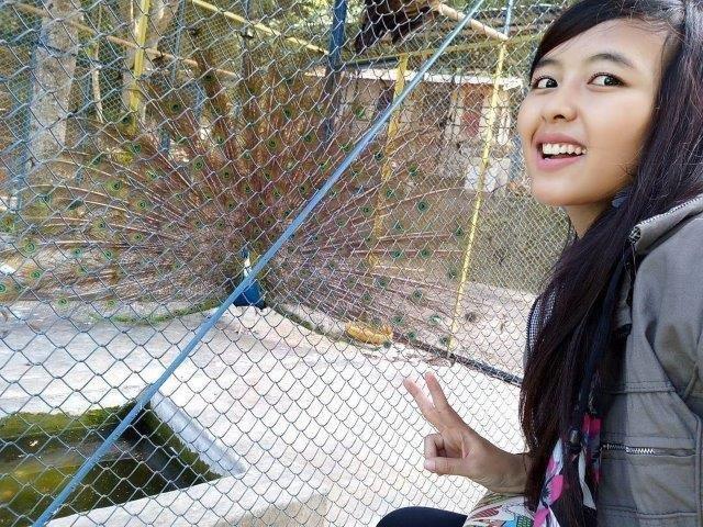 Lokasi dan Rute, Penginapan Terdekat , Kolam Renang, Fasilitas Yang Ada, Aktivitas Menarik 