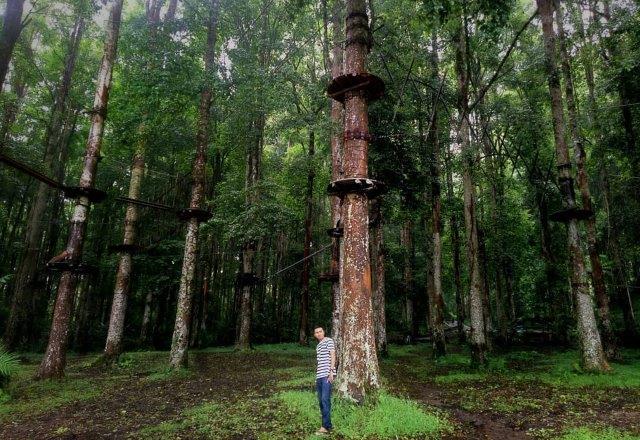 Lokasi Dimana , Sejarah Singkat , Rute Menuju Lokasi , Daya Tarik dan Fasilitas, Harga Tiket Masuk , Tips Berkunjung 