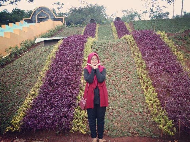Wisata Alam, Menilik Taman Kota, Sisi Menarik, Fasilitas Yang Ada, Aktifitas Menarik