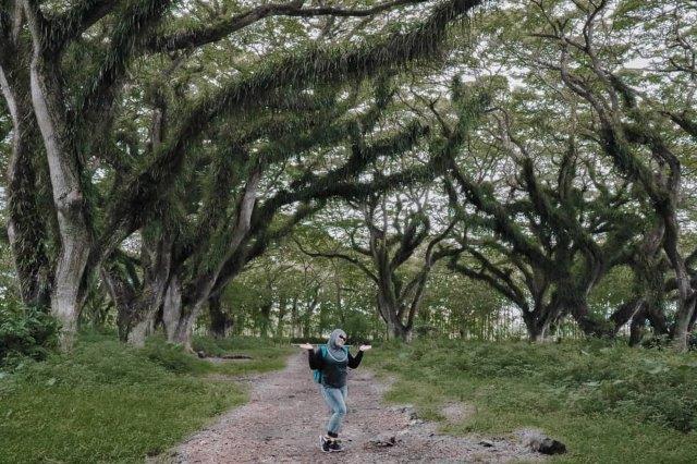 Potensi Tersembunyi, Keindahan Potensi, Rute Menuju Lokasi, Buka Jam Berapa, Harga Tiket Masuk