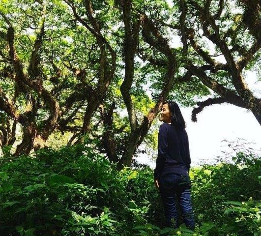 Potensi Tersembunyi, Keindahan Potensi, Rute Menuju Lokasi, Buka Jam Berapa, Harga Tiket Masuk