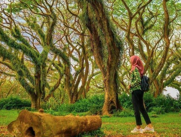 Potensi Tersembunyi, Keindahan Potensi, Rute Menuju Lokasi, Buka Jam Berapa, Harga Tiket Masuk