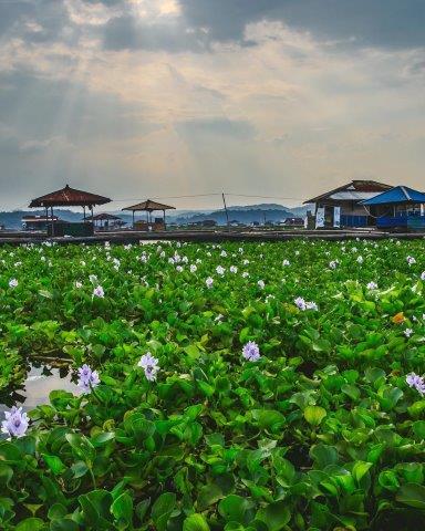 Sejarah Deskripsi , Rute Menuju Lokasi, Daya Pikat , Harga Tiket Masuk , Fasilitas