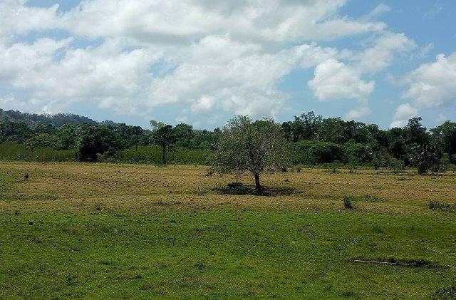 Ujung Timur Jawa, Keindahan Potensi, Jalan Menuju Lokasi, Buka Jam Berapa, Harga Tiket Masuk