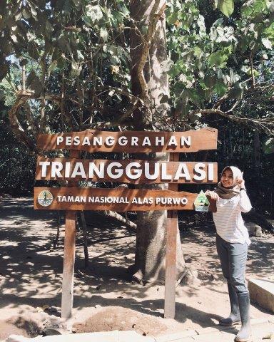 Ujung Timur Jawa, Keindahan Potensi, Jalan Menuju Lokasi, Buka Jam Berapa, Harga Tiket Masuk