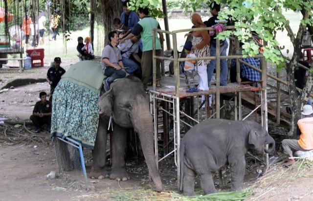 22. Kebun Strawberry Karanganyar, 23. Benteng Vastenburg Fort, 24. Ngarsopuro Night Market Solo, 25. Keraton Surakarta, 26. Kebun Binatang Taru Jurug,  27. Waduk Gajah Mungkur, 28. Pura Mangkunegaran, 29. Vihara Dharma Sundara, 30. Cagar Budaya Prasasti Plumpungan
