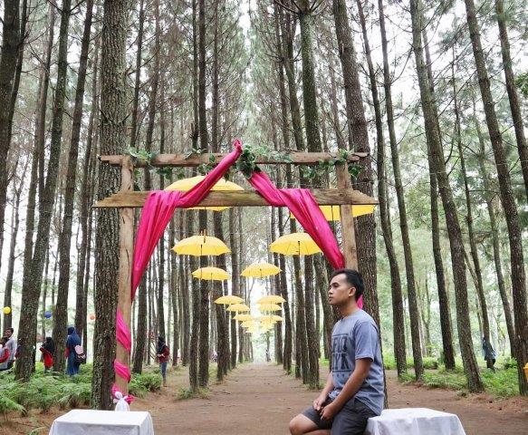 Buka Jam Berapa, Mengenal Lokasi, Hutan Eksotis, Mencoba Hammock, Fasilitas Yang Ada, Rute Menuju Lokasi
