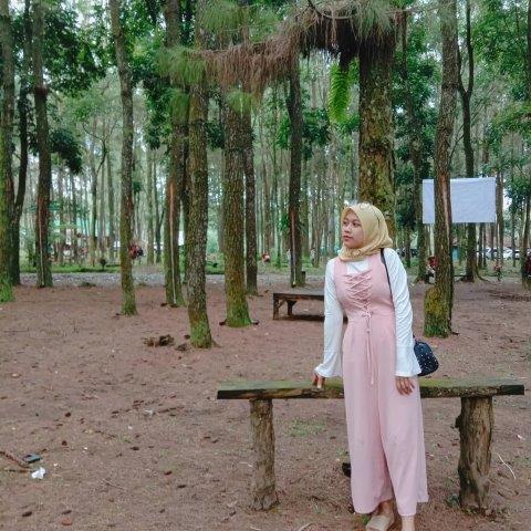 Buka Jam Berapa, Mengenal Lokasi, Hutan Eksotis, Mencoba Hammock, Fasilitas Yang Ada, Rute Menuju Lokasi