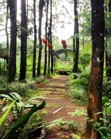 Buka Jam Berapa, Mengenal Lokasi, Hutan Eksotis, Mencoba Hammock, Fasilitas Yang Ada, Rute Menuju Lokasi