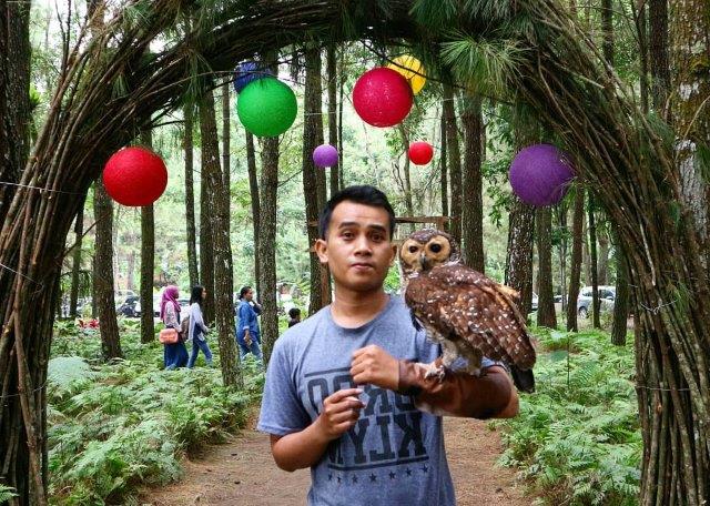 Buka Jam Berapa, Mengenal Lokasi, Hutan Eksotis, Mencoba Hammock, Fasilitas Yang Ada, Rute Menuju Lokasi