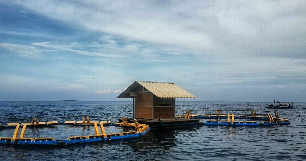 Menilik Lokasi, Keindahan, Harga Tiket Masuk, Rute Menuju Lokasi, Tips Berlibur