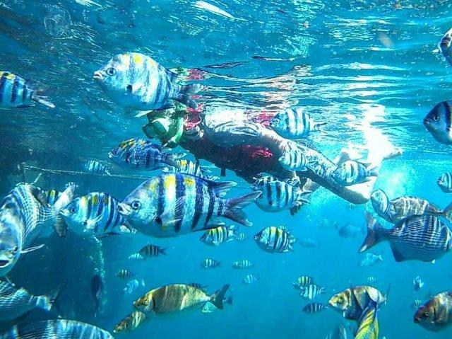 Menilik Lokasi, Keindahan, Harga Tiket Masuk, Rute Menuju Lokasi, Tips Berlibur