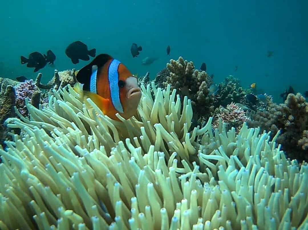Menilik Lokasi, Keindahan, Harga Tiket Masuk, Rute Menuju Lokasi, Tips Berlibur