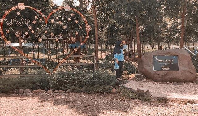 Indah dan Eksotis, Keindahan Potensi, Rute Menuju Lokasi, Buka Jam Berapa, Harga Tiket Masuk