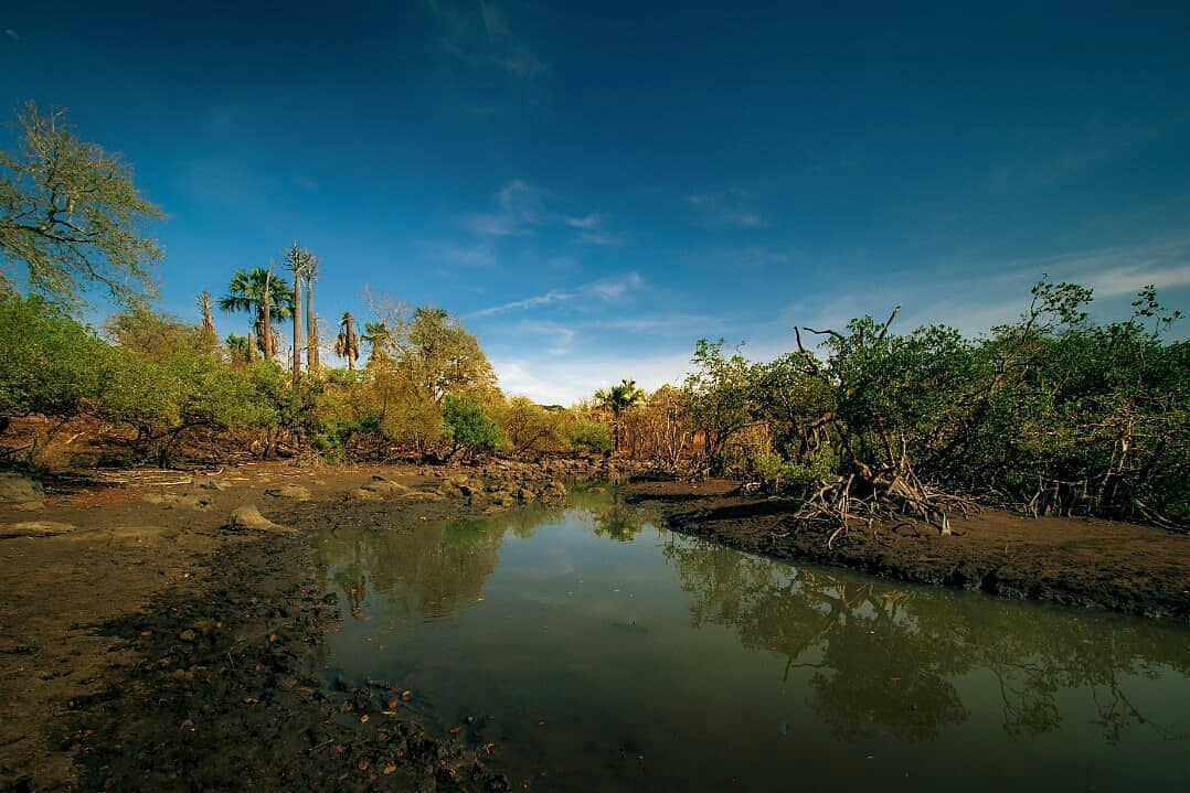 Sejarah dan Definisi, Cara Menuju Lokasi, Menjelajah Eksotis , 1. Goa Jepang, 2. Hutan Evergreen, 3. Padang Savana Bekol, 4. Pantai Bama , 5. Hutan Mangrove, 6. Pantai Bilik Sijie, 7. Pantai Balanan, Harga Tiket Masuk 