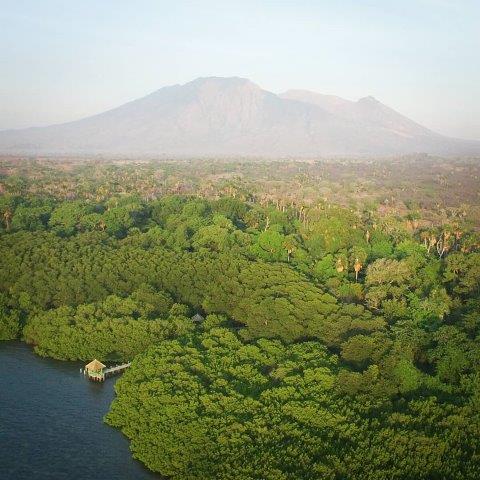 Sejarah dan Definisi, Cara Menuju Lokasi, Menjelajah Eksotis , 1. Goa Jepang, 2. Hutan Evergreen, 3. Padang Savana Bekol, 4. Pantai Bama , 5. Hutan Mangrove, 6. Pantai Bilik Sijie, 7. Pantai Balanan, Harga Tiket Masuk 