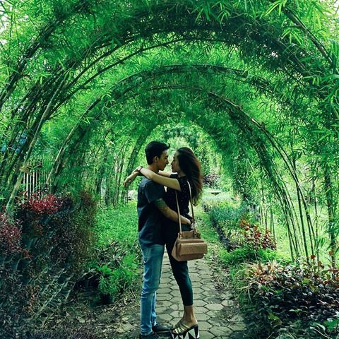 Keindahan Taman, Lokasi Taman , Harga Tiket Masuk , Buka Jam Berapa, Taman Bambu di Indonesia