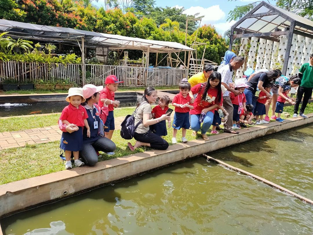 Lokasi Dimana , Tempat Bermain Anak, Buka Jam Berapa , Saat Pagi Hari, Kupu Kupu Cantik, Harga Tiket Masuk , Sangat Menarik