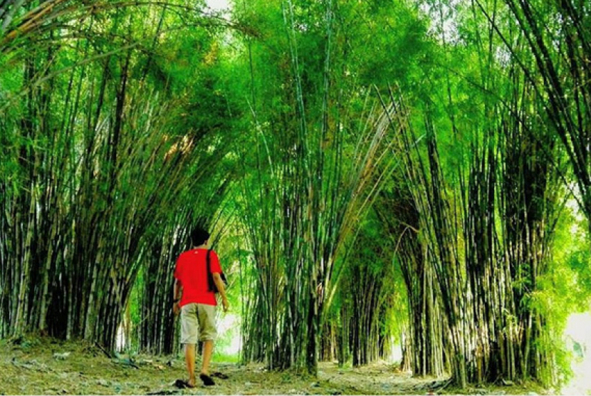 Keindahan Taman, Lokasi Taman , Harga Tiket Masuk , Buka Jam Berapa, Taman Bambu di Indonesia