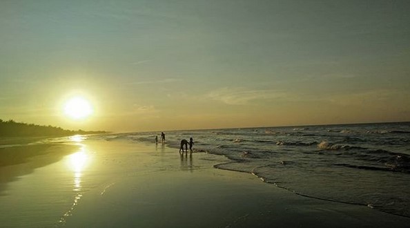 Harga Tiket Masuk, Sejarah Pohon Cemara Udang, Keistimewaan , Kegiatan di Pantai, Rute Menuju Lokasi, Fasilitas Yang Ada 
