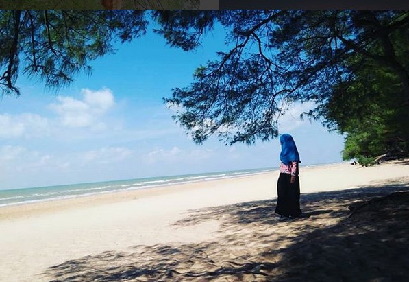 Harga Tiket Masuk, Sejarah Pohon Cemara Udang, Keistimewaan , Kegiatan di Pantai, Rute Menuju Lokasi, Fasilitas Yang Ada 