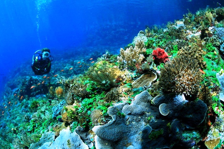 16. Pulau Gusung, 17. Pantai Losari, 18. Pulau Samalona, 19. Pulau Kayangan, 20. Pantai Kuri Indah, 21. Pantai Akkarena, 22. Pulau Lae-Lae, 23. Tanjung Bira, 24. Taman Laut Takabonerate, 25. Pulau Dutungan, 26. Pulau Bulupoloe, 27. Pulau Kodingareng Keke, 28. Pulau Kapoposang