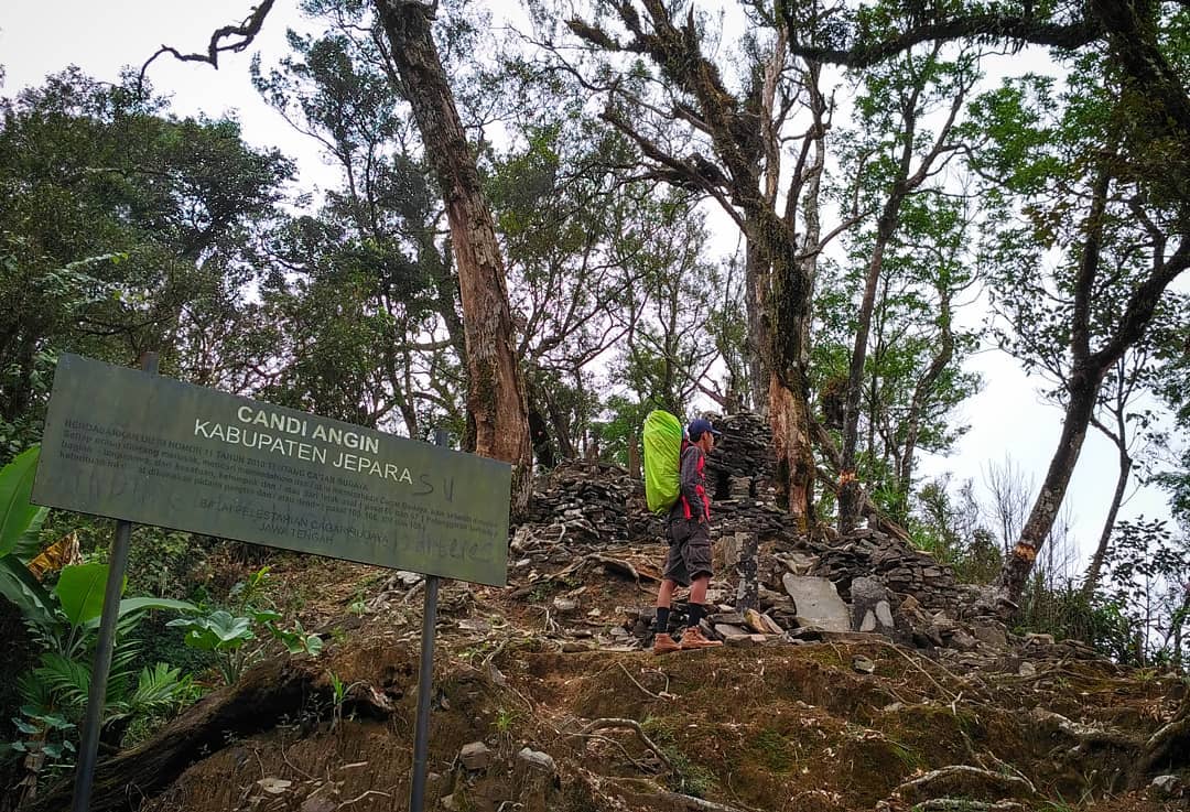 1. Pantai Bandengan, 2. Kepulauan Karimunjawa, 3. Akar Seribu Plajan, 4. Pantai Kartini, 5. Museum R.A Kartini , 6. Pulau Panjang, 7. Benteng Portugis, 8. Air Terjun Songgolangit, 9. Pantai Teluk Awur, 10. Pantai Pungkruk, 11. Pulau Mandalika, 12. Pantai Ombak Mati, 13. Pantai Gua Manik, 14. Goa Tritip, 15. Danau Blingoh, 16. Pertapaan Ratu Kalinyamat, 17. Masjid Mantingan, 18. Air Terjun Jurang Nganten, 19. Candi Bubrah, 20. Tiara Park Waterboom, 21. Jepara Ocean Park, 22. Gunung Genuk, 23. Gunung Muria, 24. Hutan Wisata Wono Sreni Indah, 25. Hutan Pinus Setro Batealit