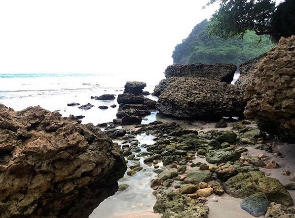Tak Hanya Waduk, Daya Tarik , Pagi Atau Sore?, Kegiatan Menarik, Cara Menuju Lokasi 