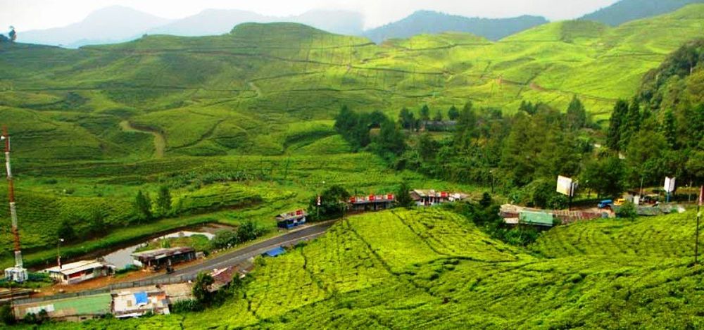 1. Kebun Raya Cibodas, 2. Taman Bunga Nusantara, 3. Little Venice Puncak, 4. Warso Farm, 5. Taman Wisata Gunung Pancar