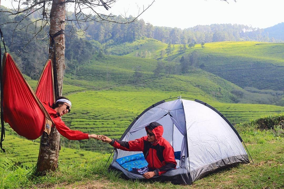 Sangat Sejuk, Berada di Ketinggian, Harga Tiket Masuk, Dikelola PTPN XII, Enaknya Bulan Apa, Fasilitas Yang Ada 