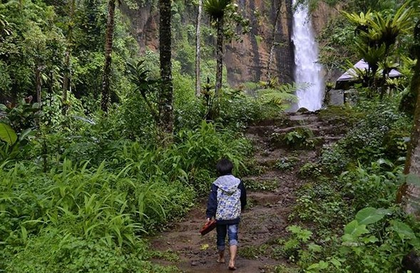 Wisata Air Terjun , Persiapkan Fisik, Hamparan Kebun, Harga Tiket Masuk, Rute Menuju Lokasi
