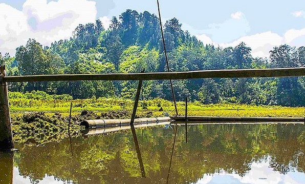 Wisata Ranu Pane, Spot Instagramable, Sedikit Naik, Harga Tiket Masuk, Rute Menuju Lokasi