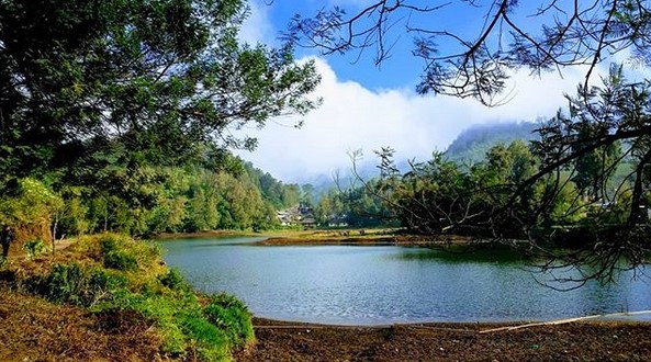 Wisata Ranu Pane, Spot Instagramable, Sedikit Naik, Harga Tiket Masuk, Rute Menuju Lokasi