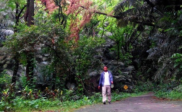 Daya Tarik , Fasilitas Yang Ada , Tips Berwisata , Harga Tiket Masuk, Rute Menuju Lokasi