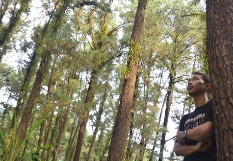 Daya Tarik , Fasilitas Yang Ada , Tips Berwisata , Harga Tiket Masuk, Rute Menuju Lokasi