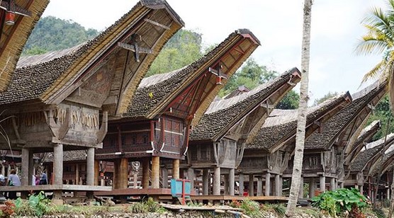 Harga Tiket Masuk Kete Kesu, Lokasi Kete Kesu, Hal yang Menarik di Kete Kesu, 1. Tongkonan, 2. Bukit Buntu Kesu, Tips Berwisata di Kete Kesu