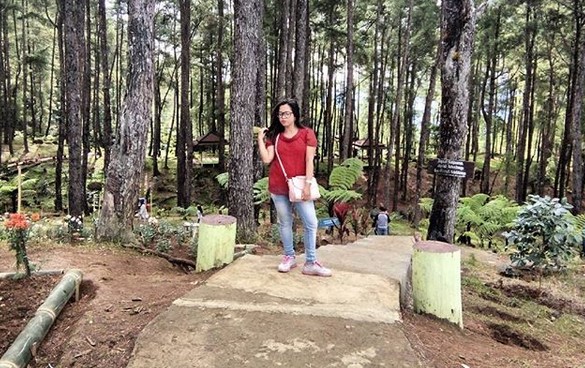Rute Menuju ke Lokasi, Daya Tarik Wisata, Waktu Terbaik Berkunjung ke Pango-Pango, Harga Tiket Masuk Pango-Pango