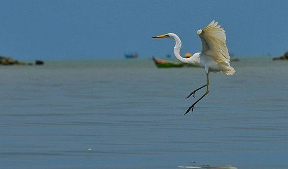 Rute Menuju Lokasi, Hal yang Menarik di Pantai Morosari, Fasilitas yang Ada di Pantai Morosari, Harga Tiket Masuk Pantai Morosari