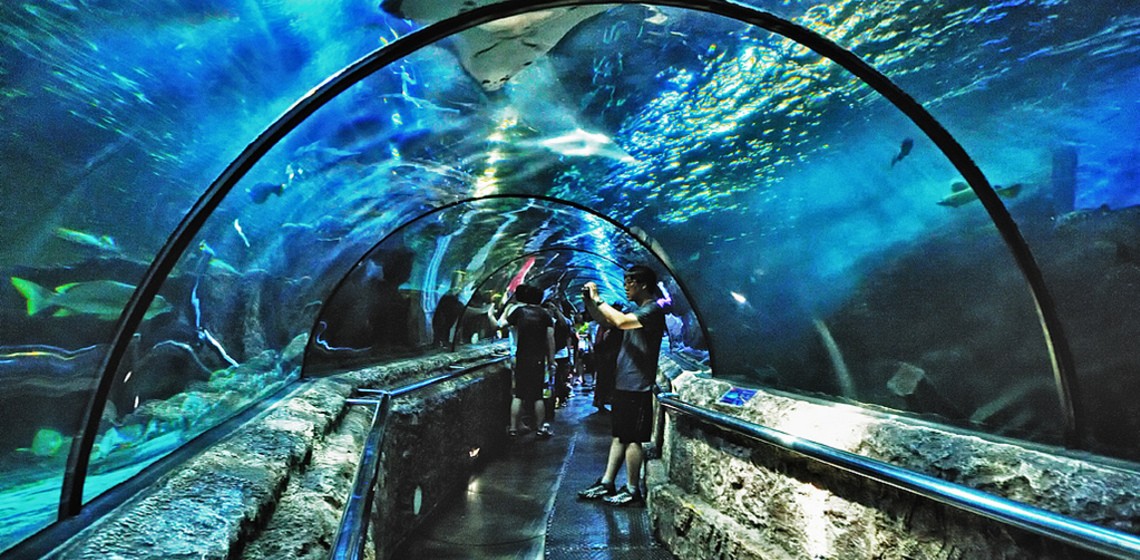 Ancol Jakarta Bay City, 1. Atlantis, 2. Ocean Dream Samudra, 3. Seaworld, Area Paling Ramai