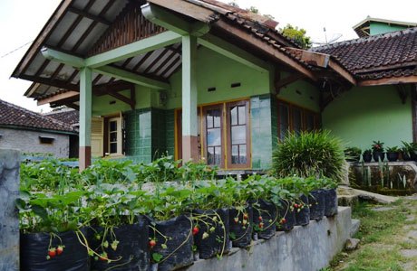 1. Retanata, 2. Cihampelas Homestay, 3. Setiabudi, 4. Triniti, 5. Anaking, 6. Paksoma, 7. Elenor’s Home, 8. Kulem Homestay, 9. Pinisi Bacpacker, 10. Ciwidey Homestay, 11. Graha Ciumbuleuit, 12. Zens Room, 13. Green Homestay, 14. Wisma Tubagus Dago, 15. Laguna Homestay