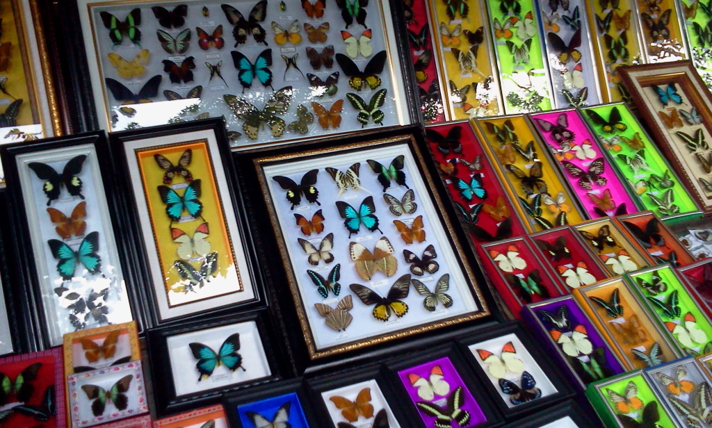 1. Kain Tenun Bugis, 2. Sarung Tenun Bugis, 3. Kain Sutra Sengkang, 4. Kain Tenun Toraja, 5. Kaos Makassar, 6. Handicraft Toraja, 7. Minyak Tawon, 8. Songkok, 9. Hiasan Kupu-kupu Bantimurung, 10. Miniatur Rumah Toraja (Tongkonan)